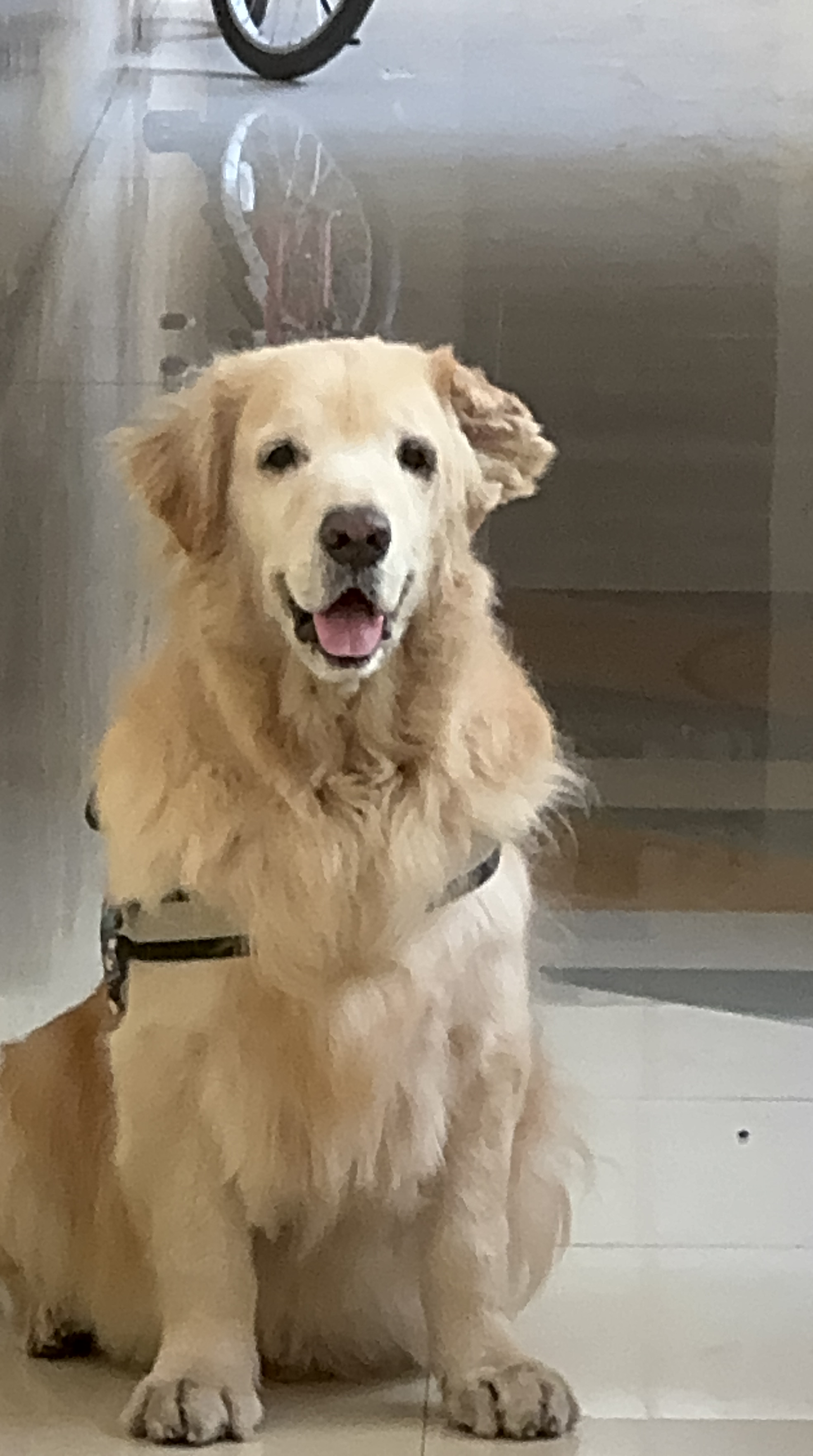 Summer, whose parent sent in a ProBelly report